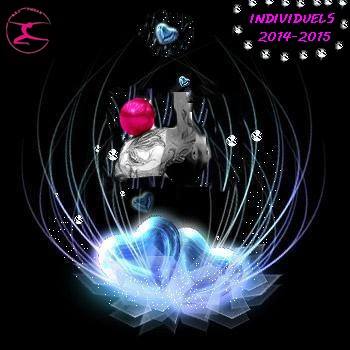 affiche_comp_indiv_reg2014